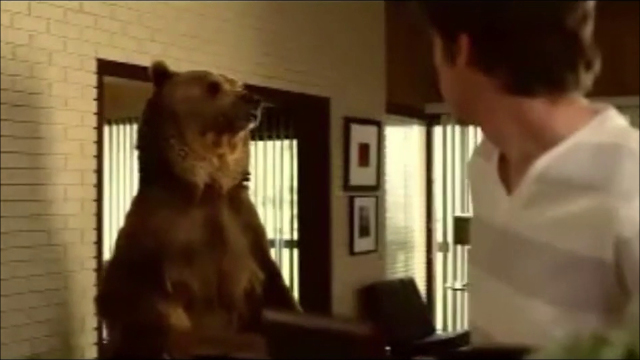 bear