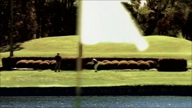 hole in one 